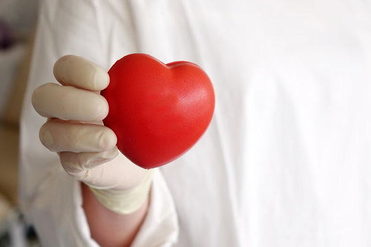 Red heart in the hands of a doctor .