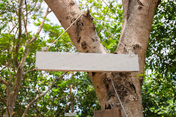 Blank wooden board on green tree. Summer park sign mockup. Empty sign on wooden board in sunny summer garden.