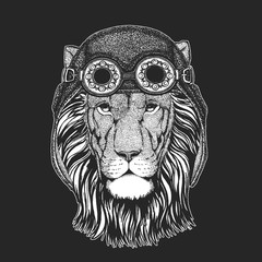 Wild lion Hand drawn picture for tattoo, emblem, badge, logo, patch, t-shirt Cool animal wearing aviator, motorcycle, biker helmet.