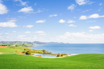 Beautiful view to fields of wonderful colored flowers plants tulips cloves blossom warm sunny...