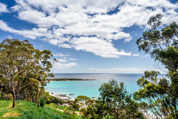 Fototapeta na wymiar Pretty view to small paradise like town village sandy beach with turquoise blue water and red orange rocks and green shore forest on warm sunny clear sky day, Boat Harbour Beach, Tasmania, Australia