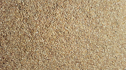 close up old rock background and texture