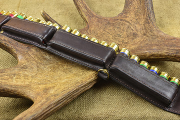 The cartridge belt with cartridges rests on the elk's horns