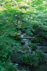 Stone steps waterfall of japanese garden in himeji castle.