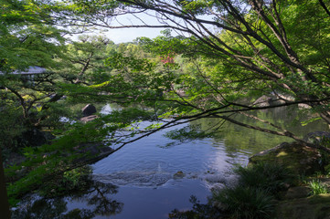 Japanese garden pond in Himeji castle,Japan.