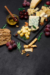 various types of cheese - brie, camembert, roquefort and cheddar on concrete