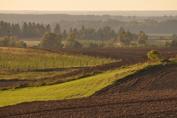 Mazury