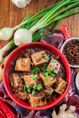 Mapo Tofu - sichuan spicy dish