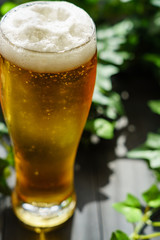 テラスでビール