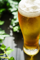 テラスでビール