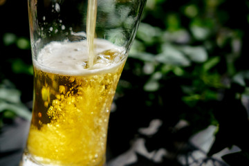 テラスでビール