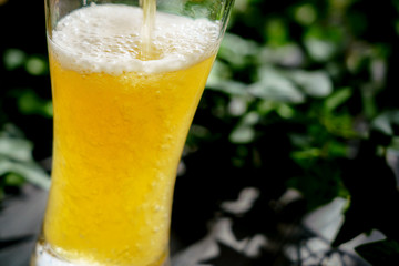 テラスでビール