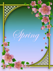  pink spring flowers against a wooden lattice, flowering branches against a summer gazebo background