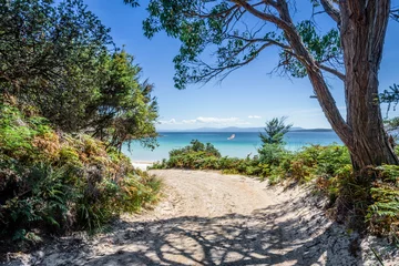 Foto op Plexiglas Camps Bay Beach, Kaapstad, Zuid-Afrika Prachtig uitzicht op een klein paradijselijk eilandzandstrand met turkooisblauw water en groen junglebos aan de kust op een warme zonnige camping met heldere hemel, Jetty Beach Bruny Island, Tasmanië, Australië