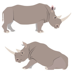 Vector illustration of standing and sitting rhinoceroses isolated on white background