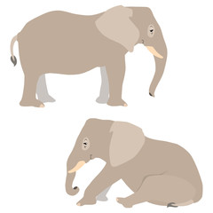 Vector illustration of standing and sitting elephants isolated on white background