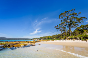 Amazing view to great paradise island sandy beach with turquoise blue water and green shore jungle forest on warm sunny clear sky relaxing day, River Adventure Bay, Bruny Island, Tasmania, Australia