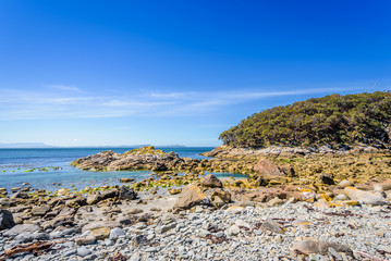 Amazing view to great paradise island sandy beach with turquoise blue water and green shore jungle forest on warm sunny clear sky relaxing day, Fluted Cape Track Bay, Bruny Island, Tasmania, Australia