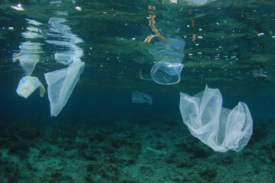 Plastic pollution in ocean   
