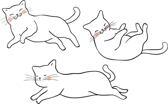 Vector illustration character design outline of adorable cat lying different pose Draw doodle style