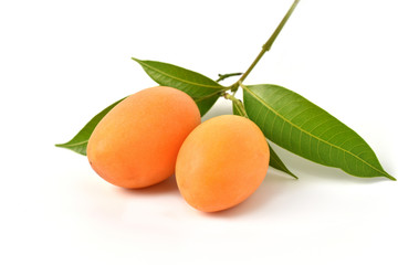 Sweet Marian plum thai fruit isolated on white background. Fruits and leaves