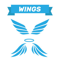 Eagle wings vector. Wings angel isolated. Bird wings cartoon art set