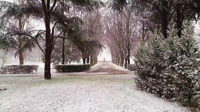 Chutes de neige dans un parc