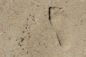 Footprints left in sand at isolated sandy coastal ocean beach 