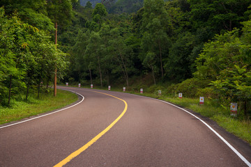 Empty road in wild forest. Summer outdoor travel landscape. Empty highway with green roadside.