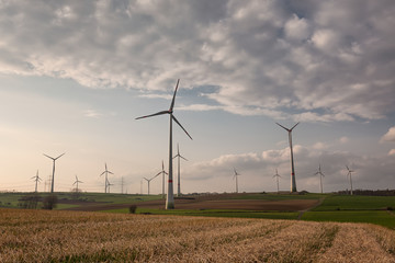 Obraz premium Windpark auf Ackerland