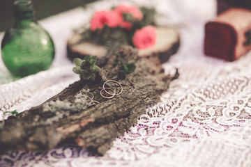 Obraz na płótnie Canvas Wedding rings on the bark of a tree