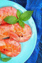 Large royal raw frozen prawns on a blue plate with thyme and basil on a concrete table. Red shrimps. Top view.
