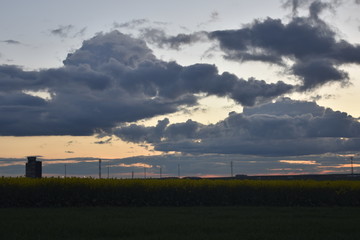 Campo de colza con cielo nubosao, tormenta.