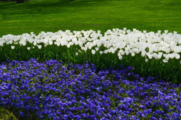 flowerbed 2