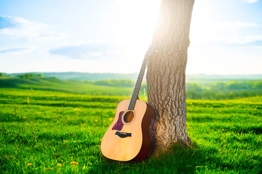 Wooden acoustic guitar for left-handed musician and the tree in summer or spring day. Music concept photo