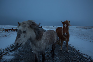 Iceland