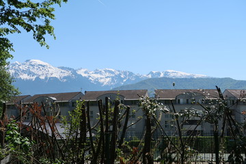 View on the Alps