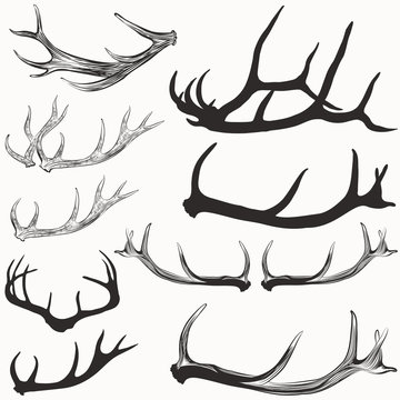 Big set of vector hand drawn deer horns