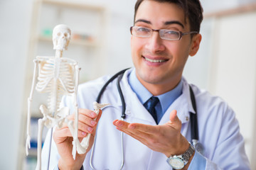 Doctor student studying the bones of skeleton