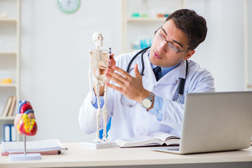 Doctor student studying the bones of skeleton