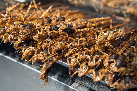 Grill and fried scorpions on stick from Wangfujing street at Beijing, China