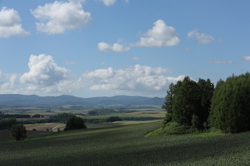A Rural Landscape, Biei, Hokkaido