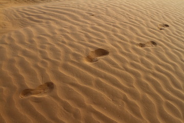 Barefeet human footprints on the sand dune in the desert