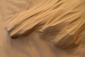 Fototapeta na wymiar Wind erosion on the sand created these formations