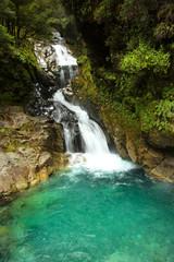 Fototapeta na wymiar Falls creek waterfall near MIlford sound in South island in New Zealand
