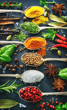 Fototapeta Various herbs and spices on dark background