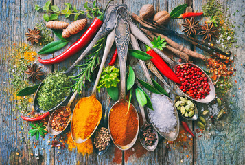 Various herbs and spices with spoons - obrazy, fototapety, plakaty