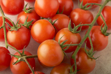 tomatoes vegetables fresh ripe organic Reds on a branch green harvest vegetarianism