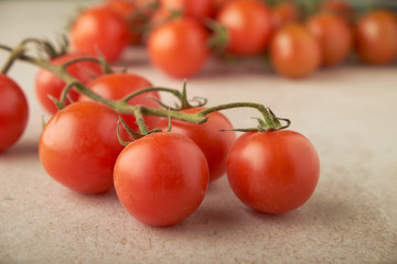 tomatoes vegetables fresh ripe organic Reds on a branch green harvest vegetarianism