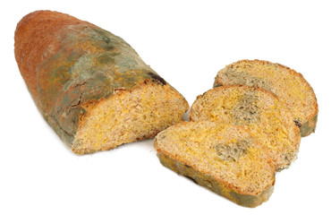 Moldy bread isolated on white background